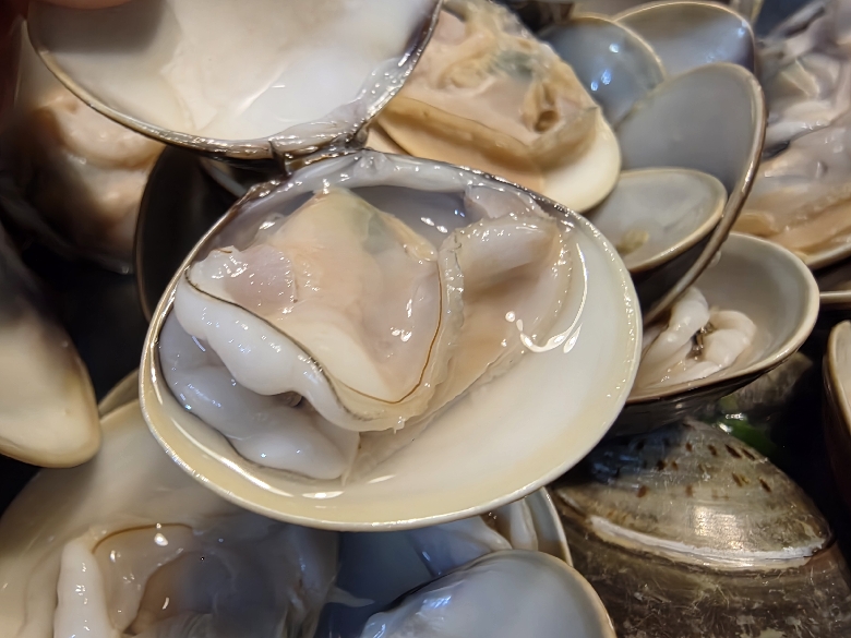연안 국내산 생합 1kg