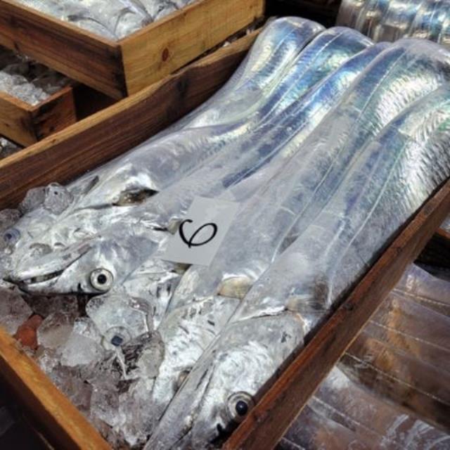[추가할인] 4지급 대물 토막갈치 6,900원!!