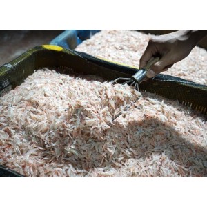 연안 동백하 1kg