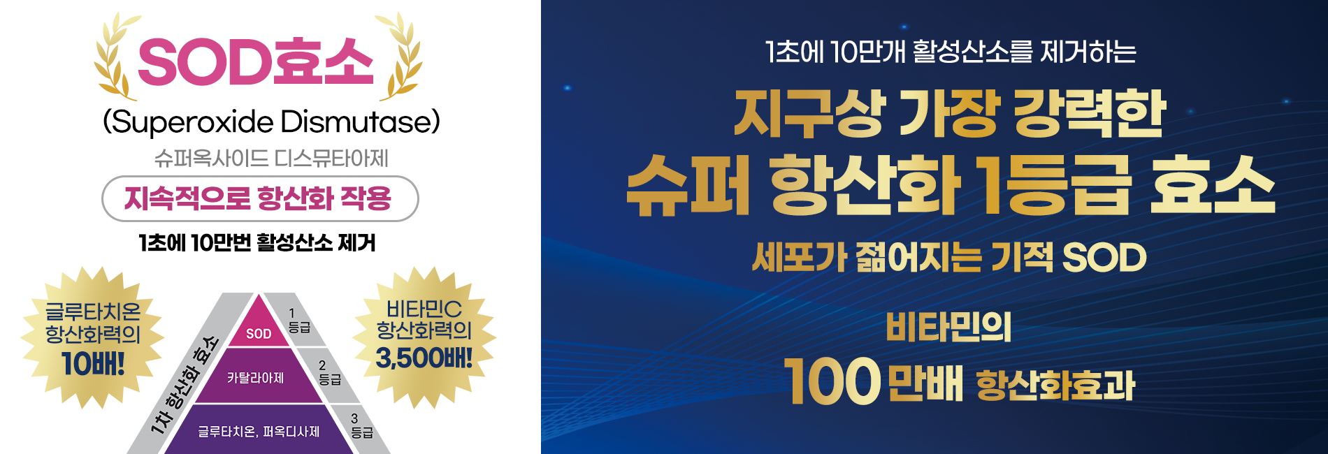 상단배너